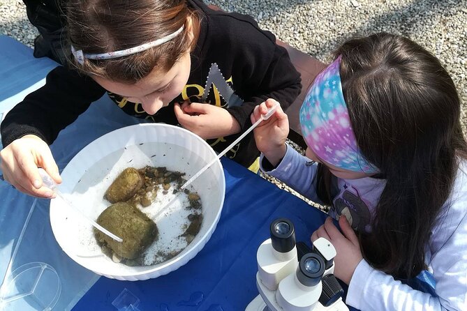 Ticket for Parco Ittico Paradiso at Zelo Buon Persico - The Parcos Maintenance and Visitor Experience