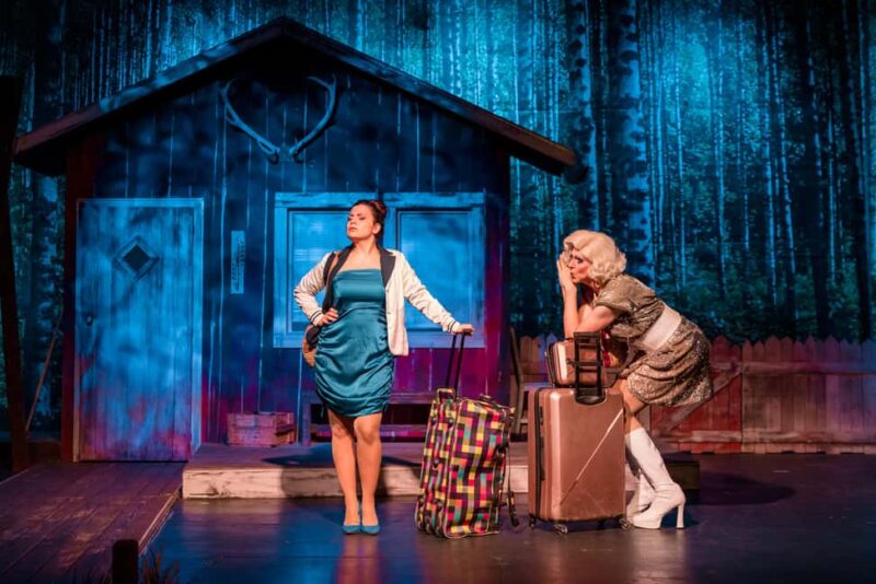 Ticket for the musical comedy "Alter Schwede!" at the COMÖDIE Dresden - Key Points