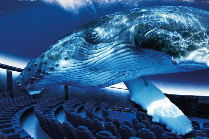 Ticket Palma Aquarium - Explore the Marine World with a Fast-Track Ticket to Palma Aquarium