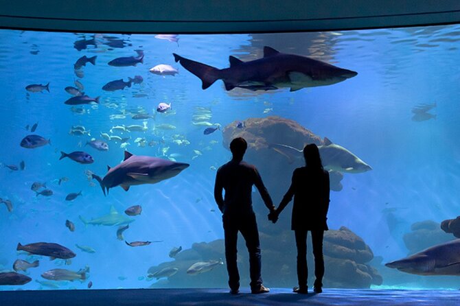 Ticket Palma Aquarium - Convenient Meeting Point and Flexible Hours