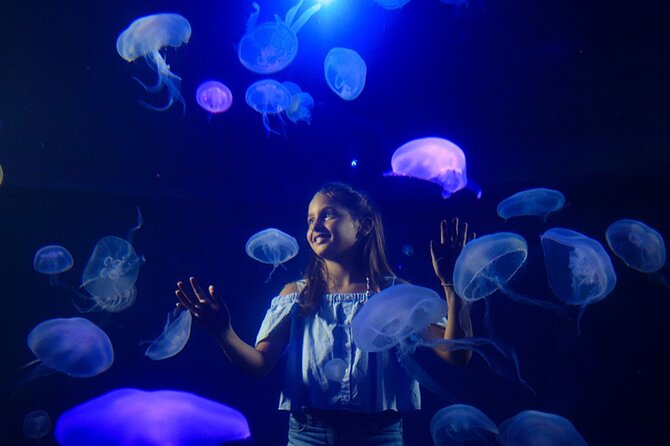 Ticket Palma Aquarium - What Sets Palma Aquarium Apart from Other Aquariums