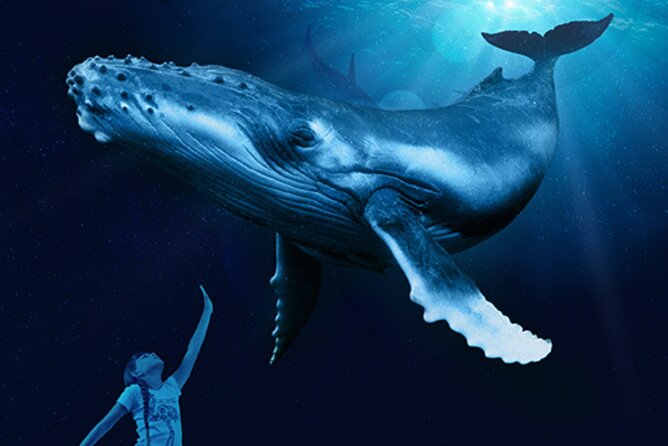 Ticket Palma Aquarium - Limitations and Considerations