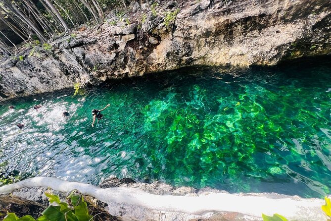 Tickets to 4 cenotes turtle house 2 caverns and 2 outdoors - Explore Tulum’s Cenotes with an Affordable Tour for $20.05