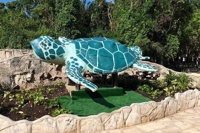 Tickets to 4 cenotes turtle house 2 caverns and 2 outdoors - Flexible Free Time in the Open Cenotes