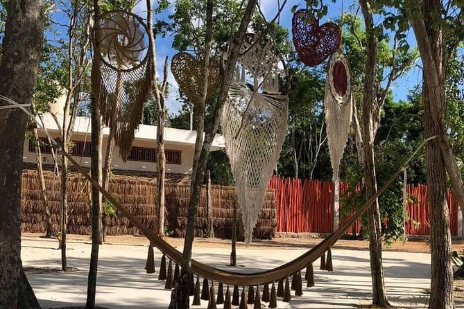 Tickets to 4 cenotes turtle house 2 caverns and 2 outdoors - Whats Included and Whats Not