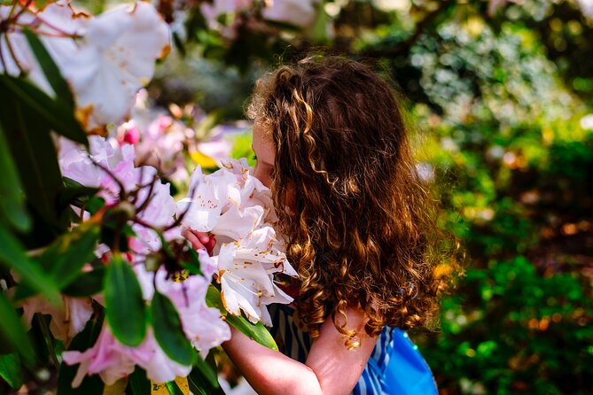 Tickets to Explore Ireland's Global Garden - Explore Irelands Largest Plant Collection at Mount Congreve Gardens