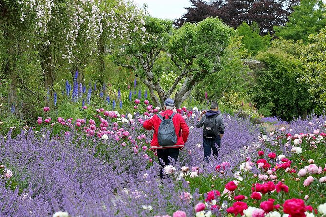 Tickets to Explore Ireland's Global Garden - Visiting Mount Congreve Gardens in South East Ireland