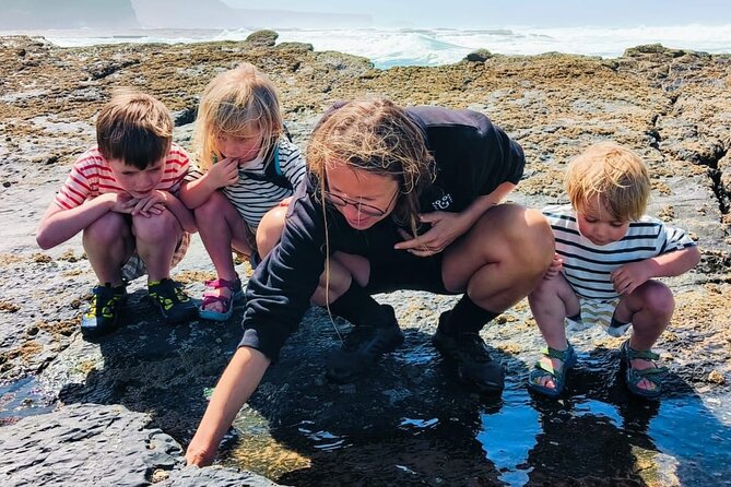 Tide Pool Safari in Monte Clérigo Beach - Accessibility and Practical Tips for Participants