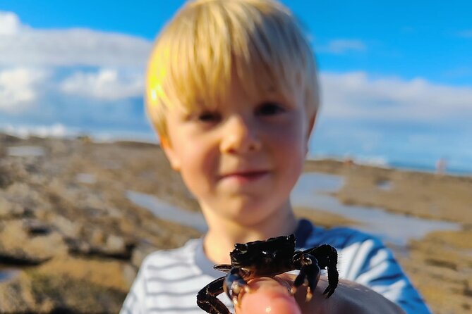 Tide Pool Safari in Monte Clérigo Beach - Comparing Similar Experiences and Additional Options
