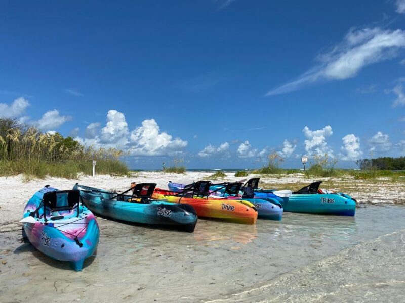 Tierra Verde FL: Coastal Kayaking Tour in Shell Key - Exciting Coastal Kayaking Adventure in Shell Key for Just $65
