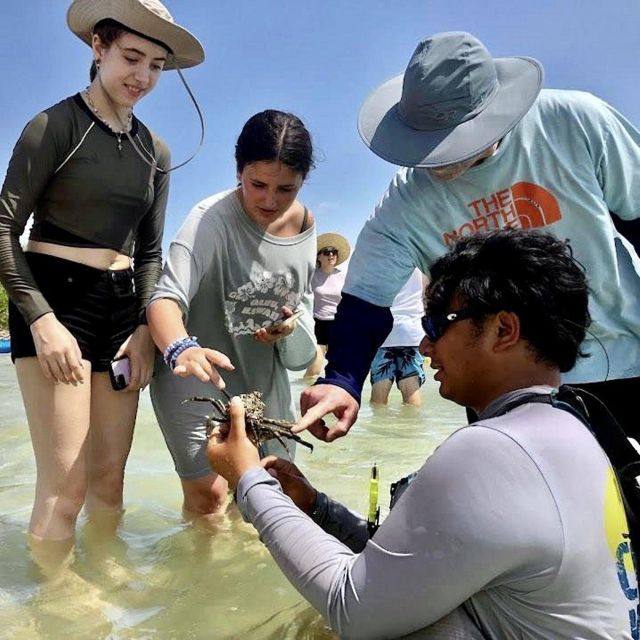 Tierra Verde FL: Coastal Kayaking Tour in Shell Key - Visiting Shell Key Island: A Break on the Beach