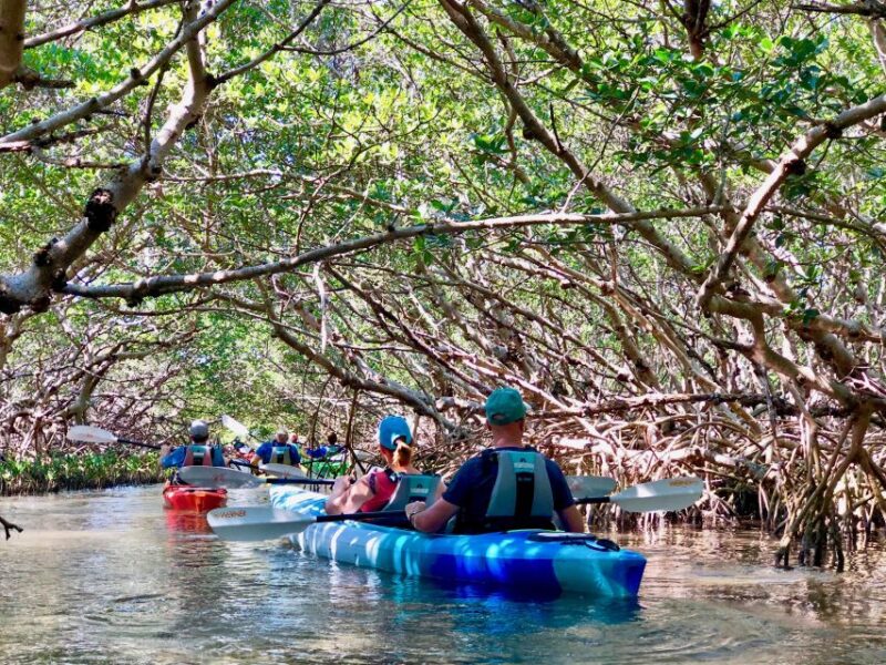 Tierra Verde FL: Coastal Kayaking Tour in Shell Key - What the Guide Shares About the Preserve