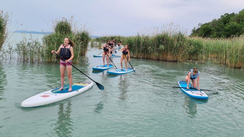 Tihany: SUP Course and Tour at Lake Balaton - Practical Skills and Equipment Selection