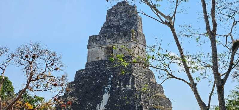 Tikal from Hotel Camino Real El Remate - All Inclusive - Why This Tour Stands Out in Tikal Excursions