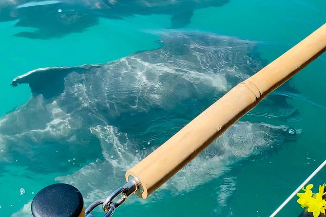 Tiki Boat - Clearwater - The Only Authentic Floating Tiki Bar - Practical Tips for a Great Tiki Boat Experience