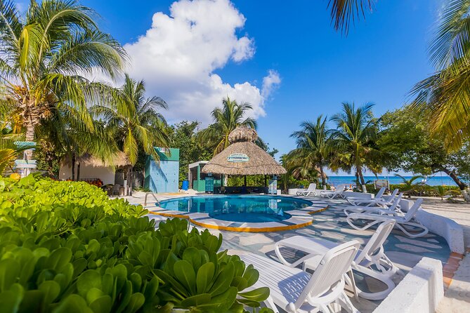 Tikinxic Barefoot Fish Guided Cookout Experience in Cozumel - Enjoying a Classic Cozumel Beach Lunch