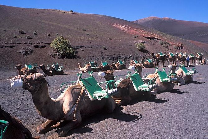 Timanfaya, Golfo, Jameos Agua & Camel Ride (opt) - Lanzarote - Lunch at Haría and Cultural Insights