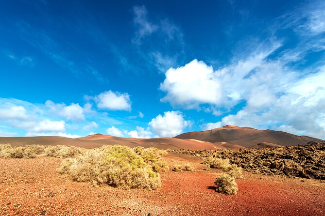 Timanfaya & Lanzarote Volcano Experience - Coastal Panoramas: Salinas and Janubio Beach