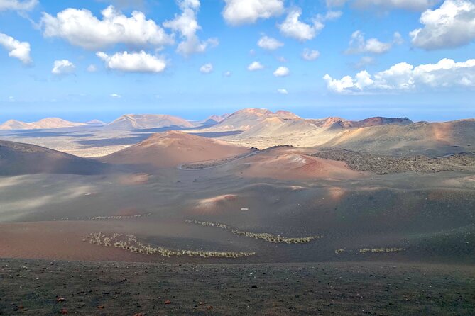 Timanfaya National Park Morning Tour - What Sets This Tour Apart from Similar Options