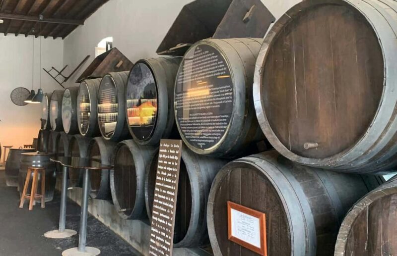 Timanfaya Volcanic day Tour in Lanzarote - Key Points