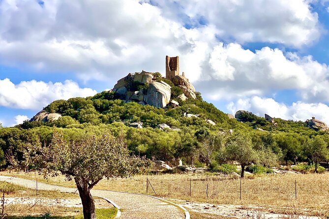 Time Travel - Discover the Ancient Treasures of Sardinia - Who Will Enjoy This Tour Most