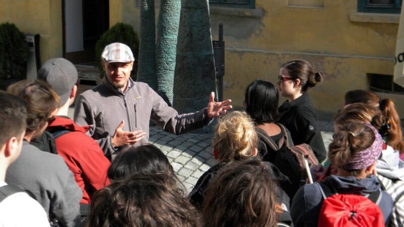 Timisoara: Classic Walking Tour - Discovering Timisoara’s Innovation and Urban Development