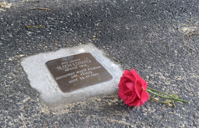 Timisoara: Jewish Heritage Walking Tour - Explore Timisoara’s Jewish Heritage on a 2.5-Hour Private Walking Tour