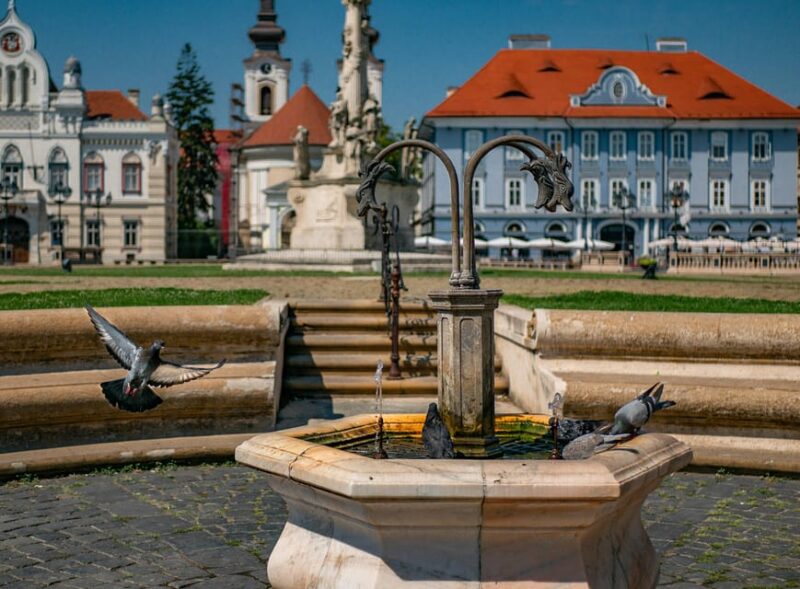 Timisoara: Private Walking Tour with a Local Guide - Discovering Timisoara’s Architectural Landmarks and the Cathedral