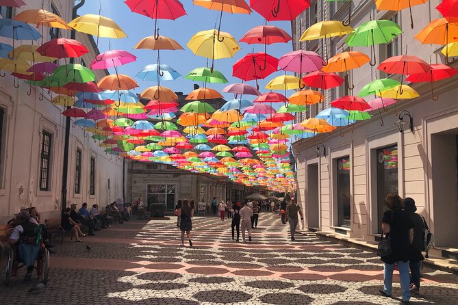 Timisoara: Shared Guided Tour in English - Revisiting Libertatii Square and the Statue