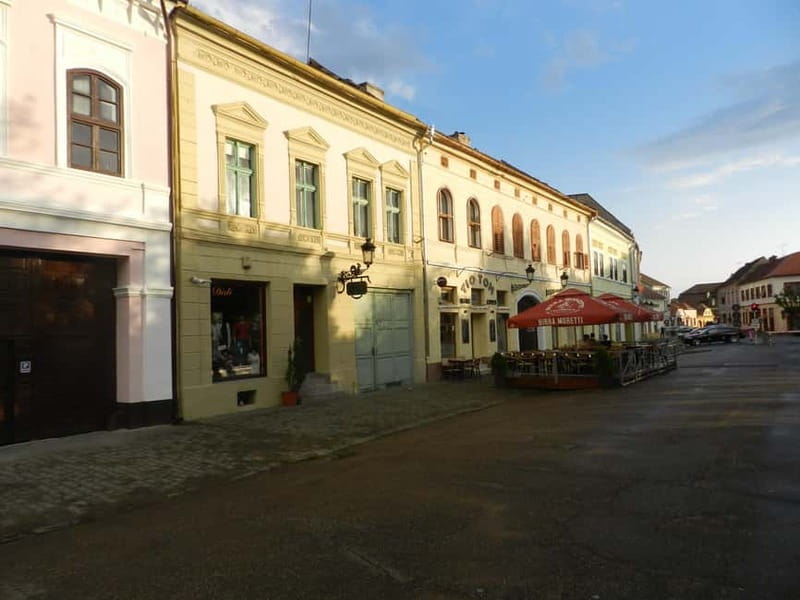 Timisoara: Sighioara, Biertan, and Media Day Trip - Guided Tours and Multilingual Support