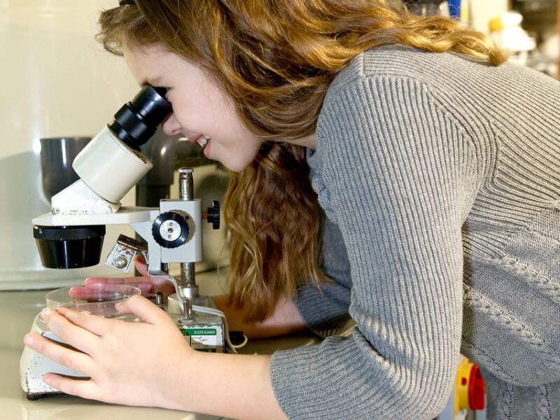 Timmendorfer Strand: SEA LIFE Behind the Scenes Tour - Timmendorfer Strand: SEA LIFE Behind the Scenes Tour