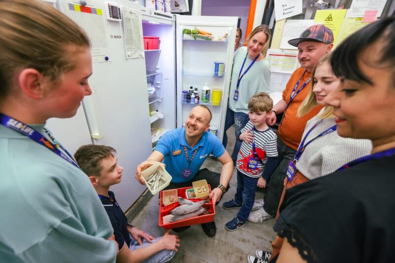 Timmendorfer Strand: SEA LIFE Behind the Scenes Tour - Meet Speedy the Green Sea Turtle in the Backstage Area