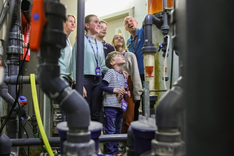 Timmendorfer Strand: SEA LIFE Behind the Scenes Tour - Exploring the 12 Themed Underwater Worlds