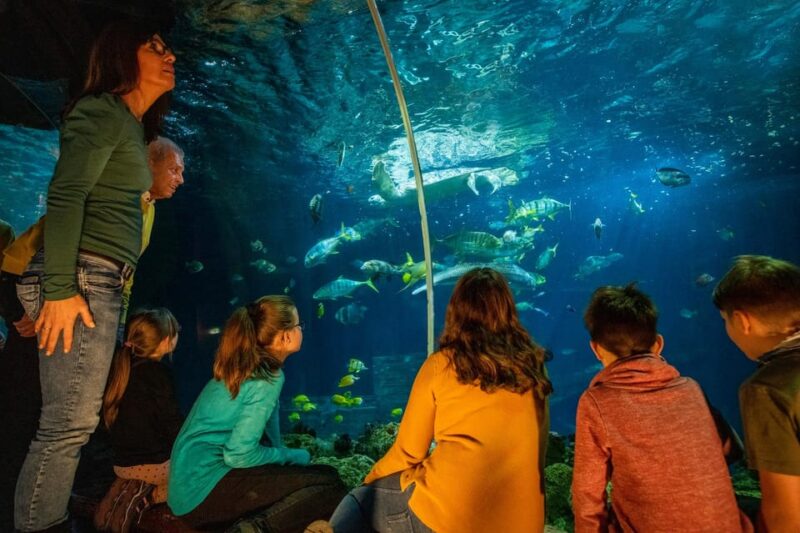 Timmendorfer Strand: SEA LIFE Behind the Scenes Tour - Practical Details: Meeting Point and Group Size