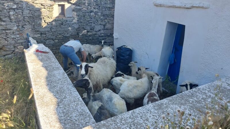 Tinos: 3-Day Hiking Adventure - Tinos: 3-Day Hiking Adventure – Is It Right for You?