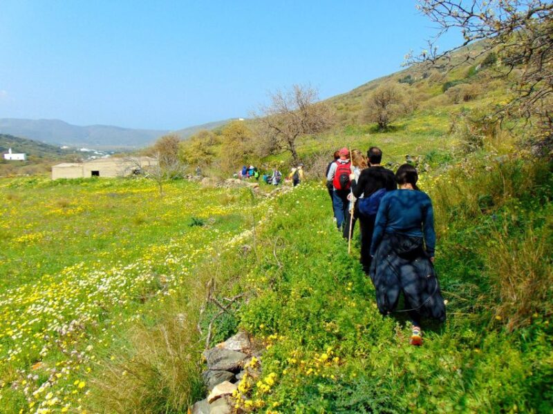 Tinos: Tarampados to Komi Guided Hiking Tour - Who Will Enjoy This Tour Most