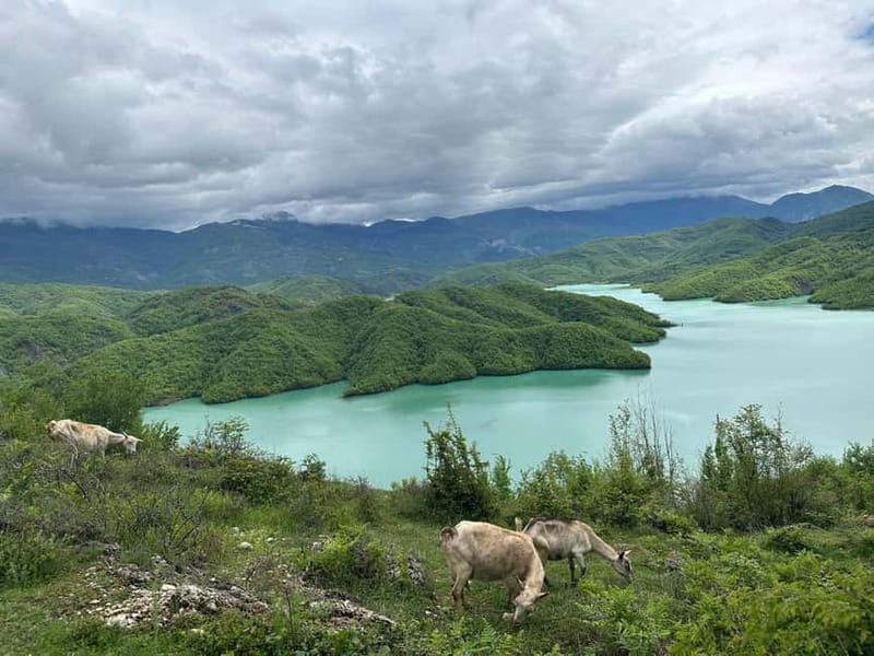 Tirana: Bovilla Lake & Gamti Mountain with SUV, No-Hiking - Timing and Pacing of the Tour