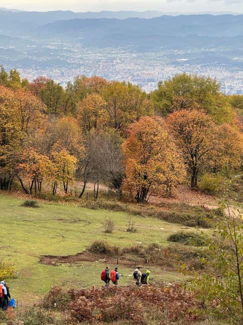 Tirana: Dajti National Park and Tujani Peak Hiking Tour - Physical Demands and Suitability