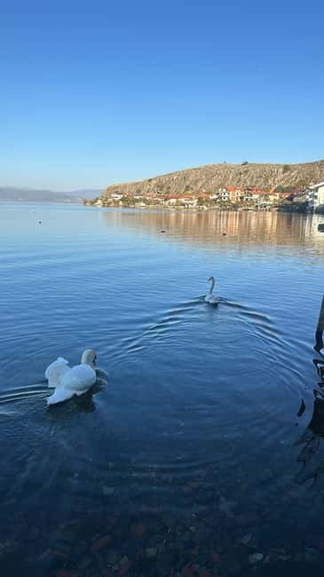 Tirana/Durres:North Macedonia, Ohrid & St Naum (Small Group) - Why Choose This Tour?