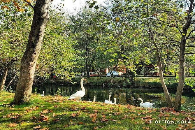 Tirana Hidden Treasures Sightseeing Tour - Rinia Park and the Independence Monument