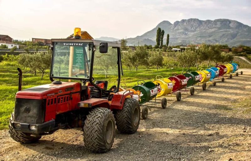 Tirana: Kruja Day Trip with Farm-to-Table Lunch - The Experience Provider: Lici Tours