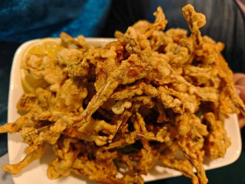 Tirana to Bylis & Apollonia: Private day trip - Key Points