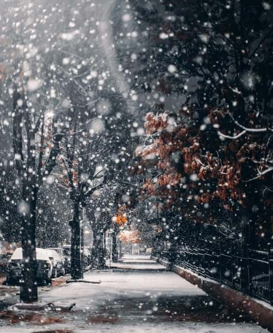 Tirana to Korcë by Eden: Private day trip - Additional Costs and Considerations