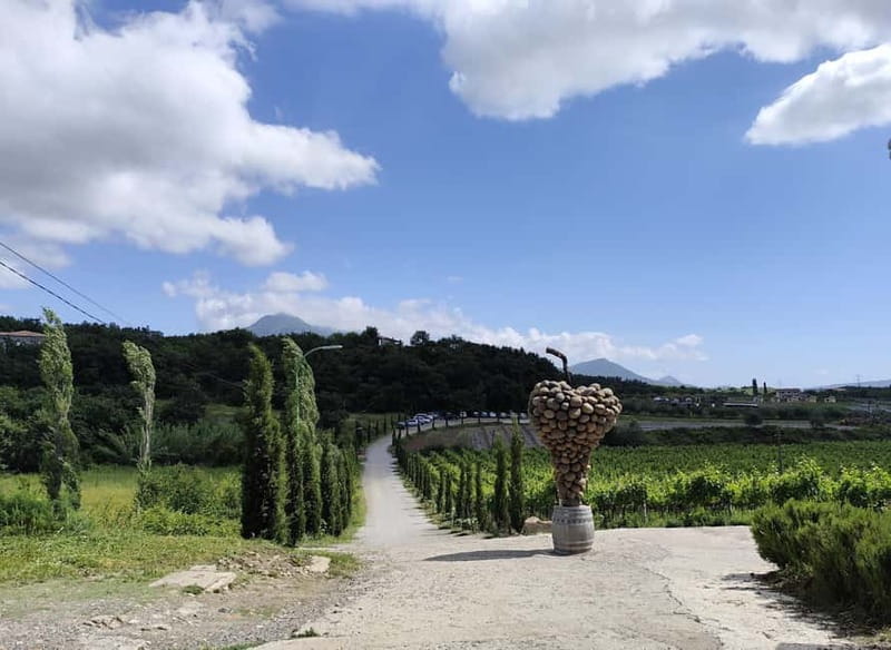 Tirana to Shkoder by Eden: Private day trip - Easy Pickup and Comfortable Transport in Tirana