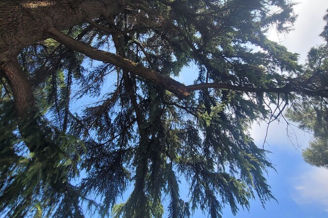 Tiranas Communist Past: A Tasting Tour with Traditional Lunch - Memorial at Postbllok: Political Prisoners and Resistance