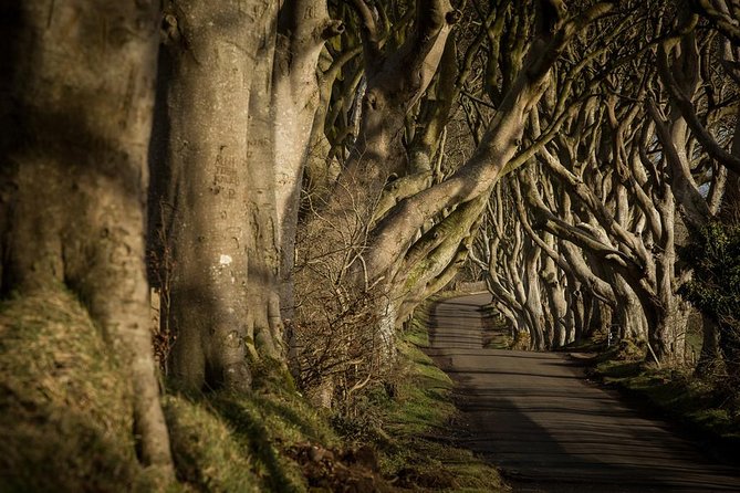 Titanic Experience and Giant's Causeway tour from Belfast - Visiting the Dark Hedges – A Game of Thrones Filming Location