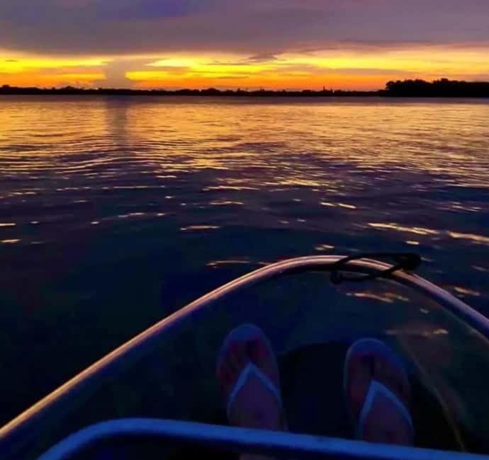 Titusville: Bioluminescent Clear Kayak Tour - The Bioluminescent Experience in Titusville’s Indian River Lagoon