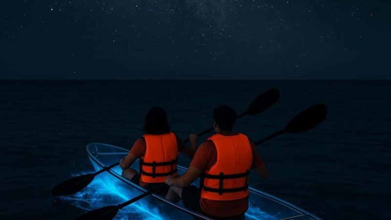 Titusville: Bioluminescent Clear Kayak Tour - The Magic of Glowing Mullet and Occasional Dolphins