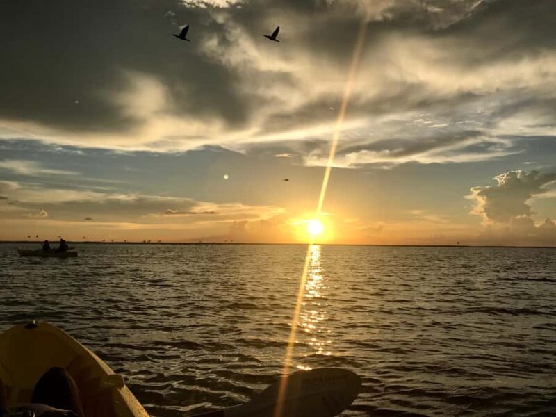 Titusville: Sunset and Bioluminescent Kayaking Tour - Shore Break and Picnic Opportunity