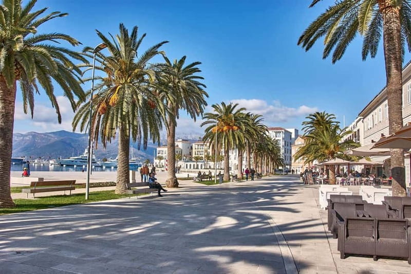 Tivat private tour from Kotor - Key Points